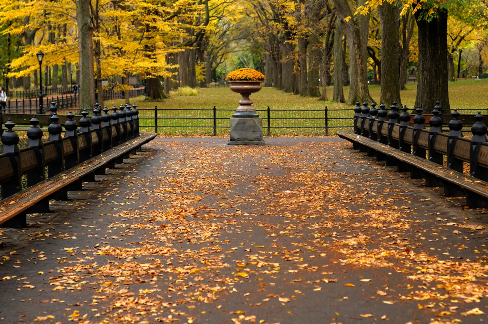 Benches lining the Mall in Central Park. Image © Flickr user Ralph Hockens