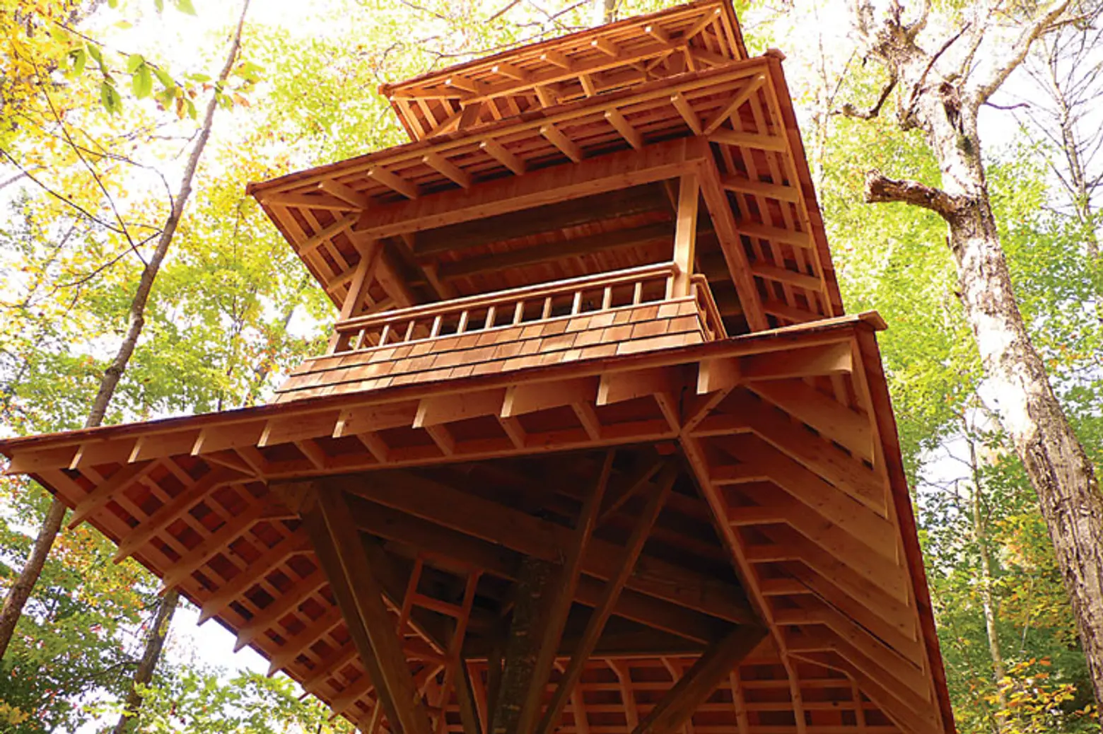 Long Lake Treehouse designed by Luderowski Architect