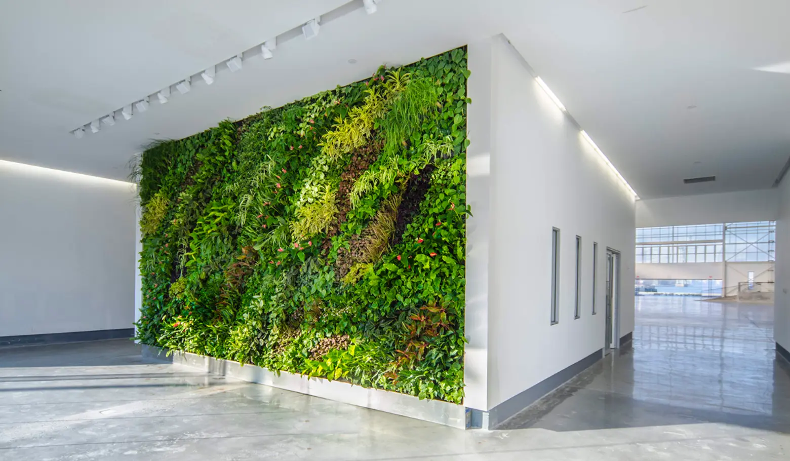 Living Wall, Green Wall, PlantWallDesign, Duggal Greenhouse, Brooklyn Navy Yard