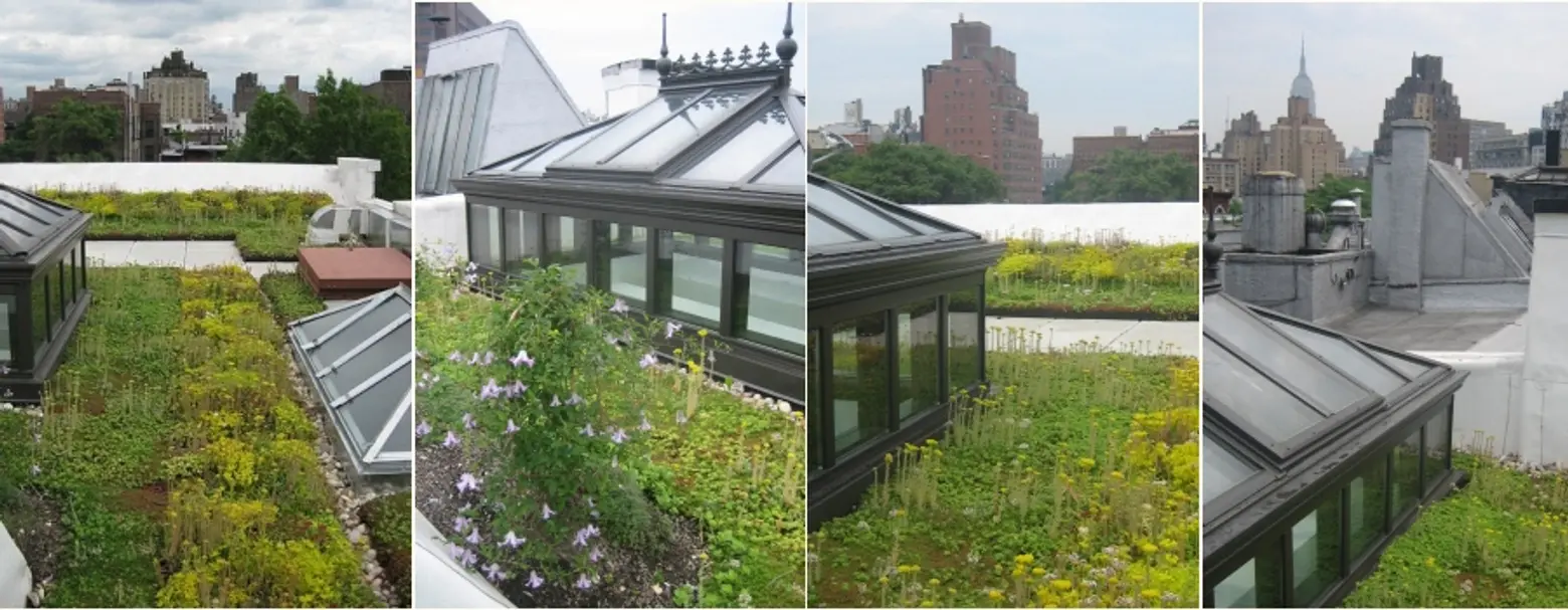 Greensulate, green roof, Amy Norquist