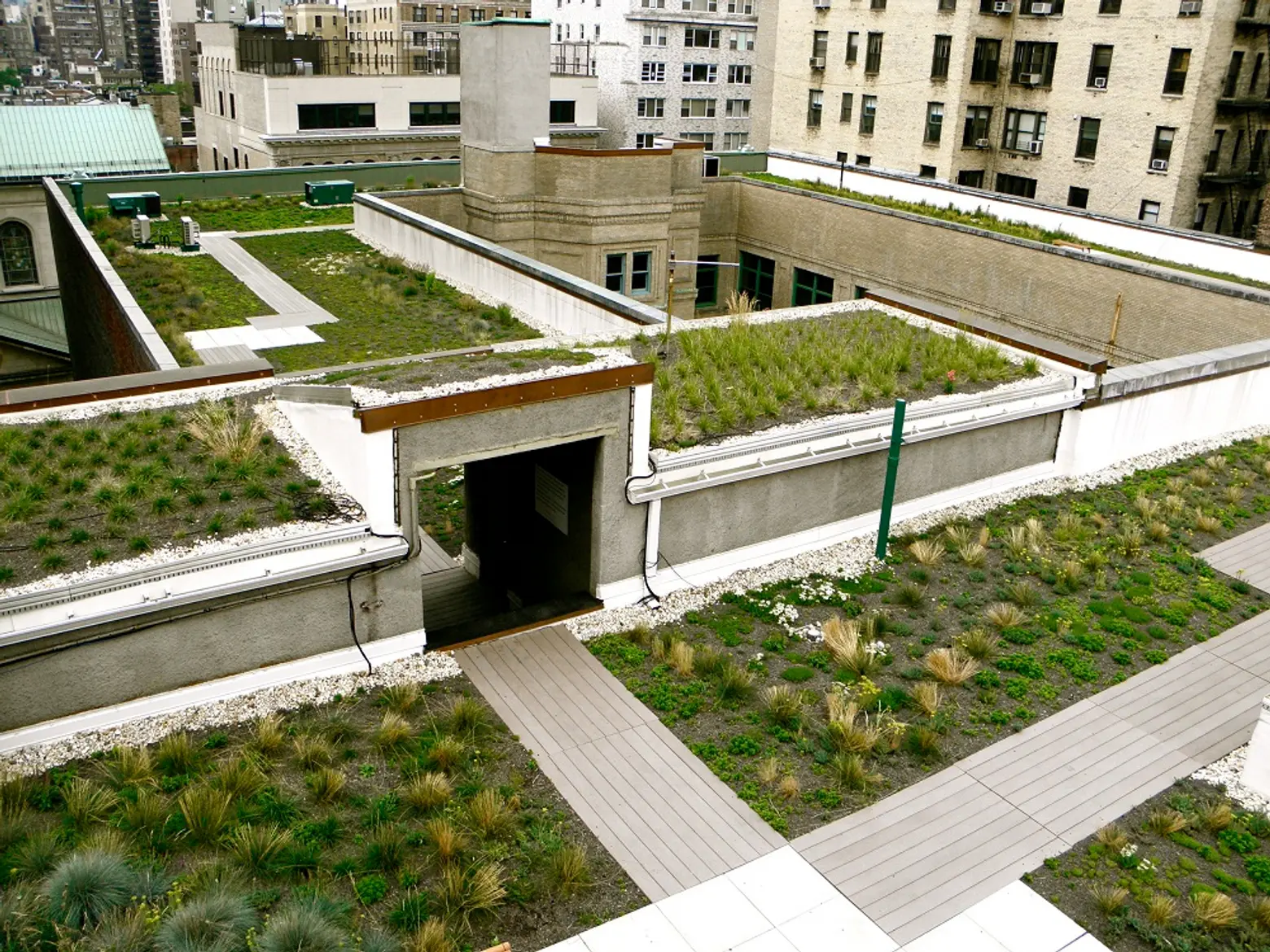 Regis High School, green roof, Greensulate, green roof