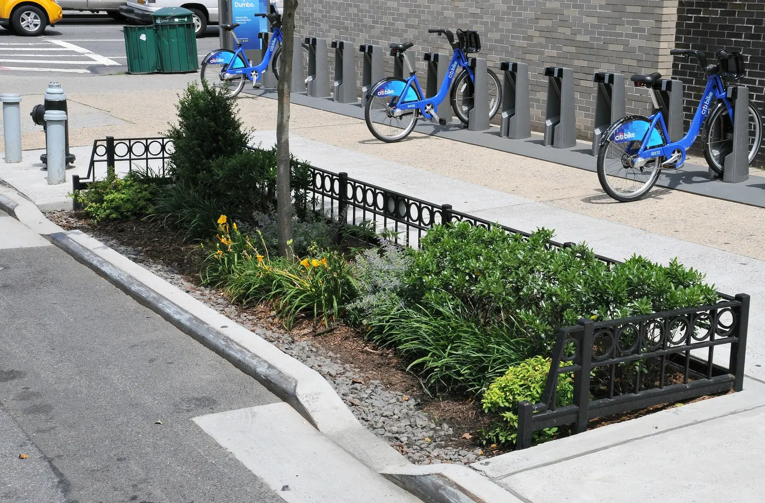 Bioswale, NYC Department of Environmental Protection, NYC green infrastructure