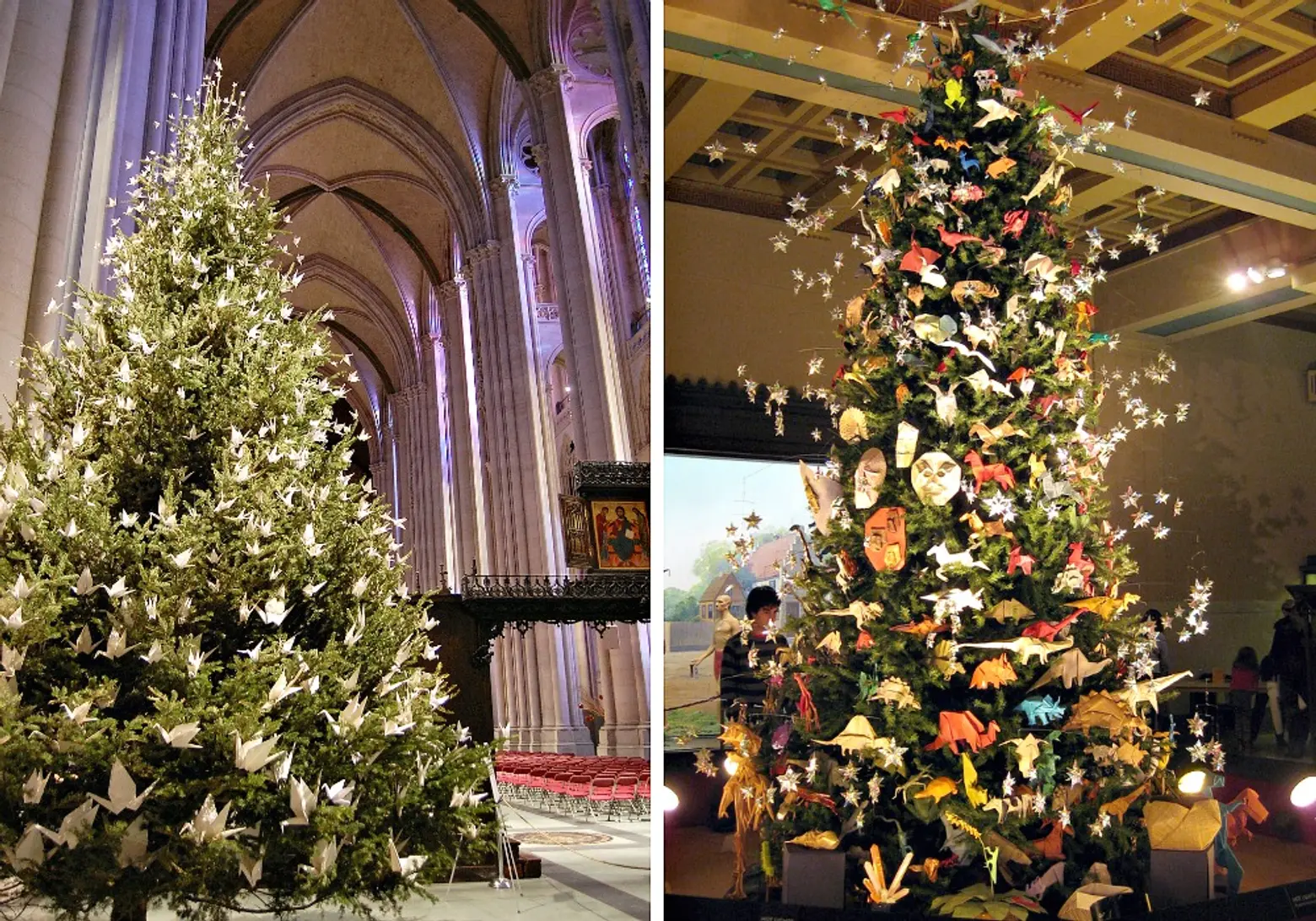 NYC Christmas Trees, American Museum of Natural History, Cathedral of St. John the Divine