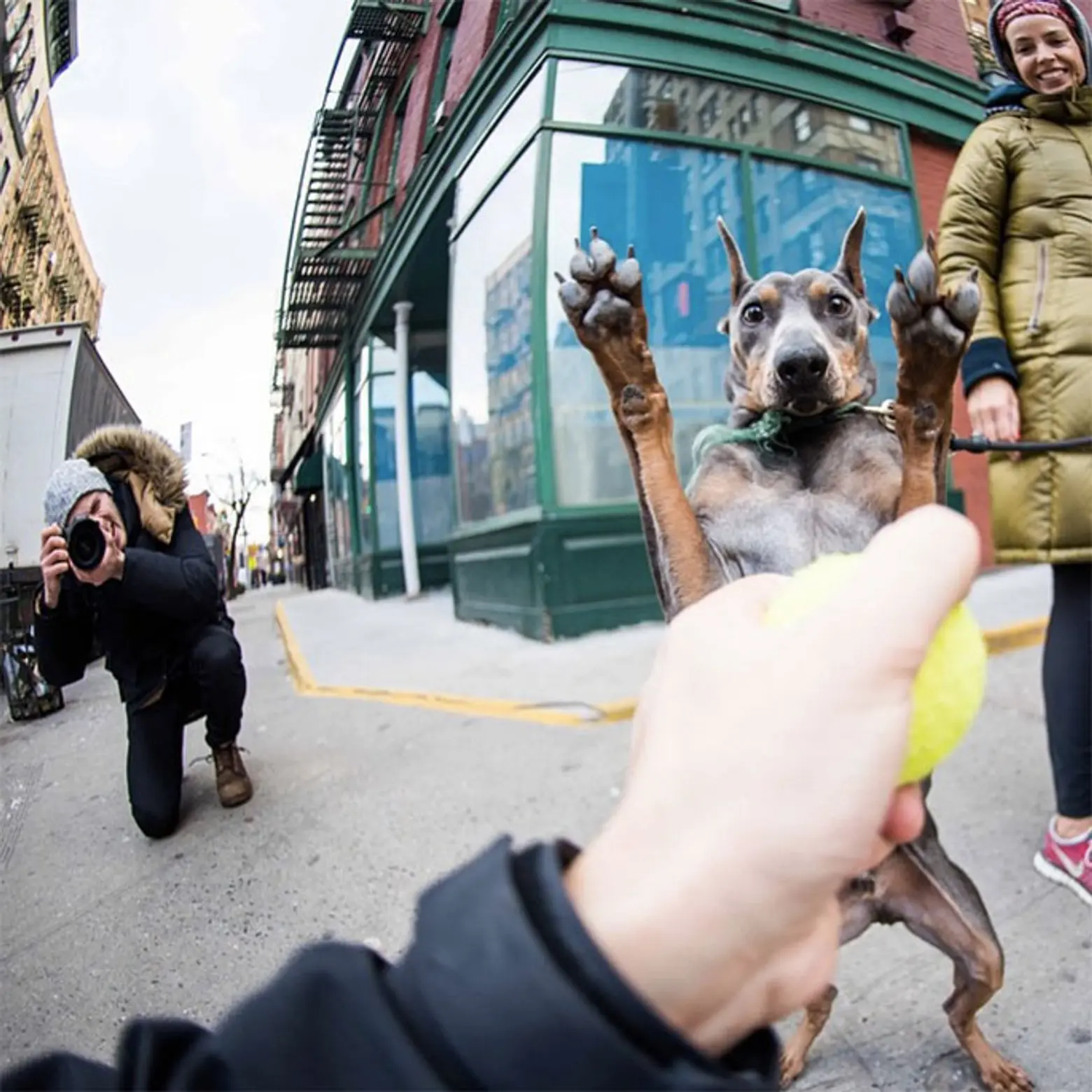 elias weiss friedman, the dogist, the dogist tumblr, give a dog a bone