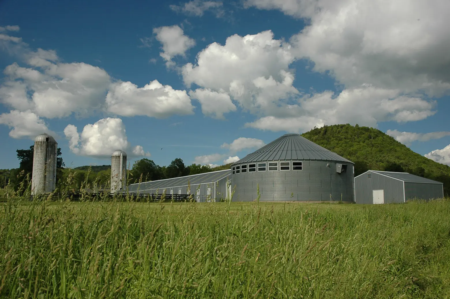 charlotte valley farm, barns 