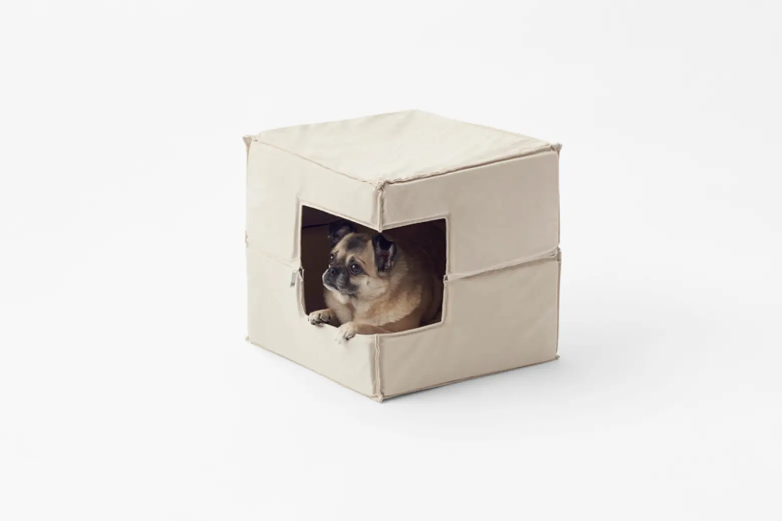Nedo, Cubic Pet Goods, pets, pet furniture