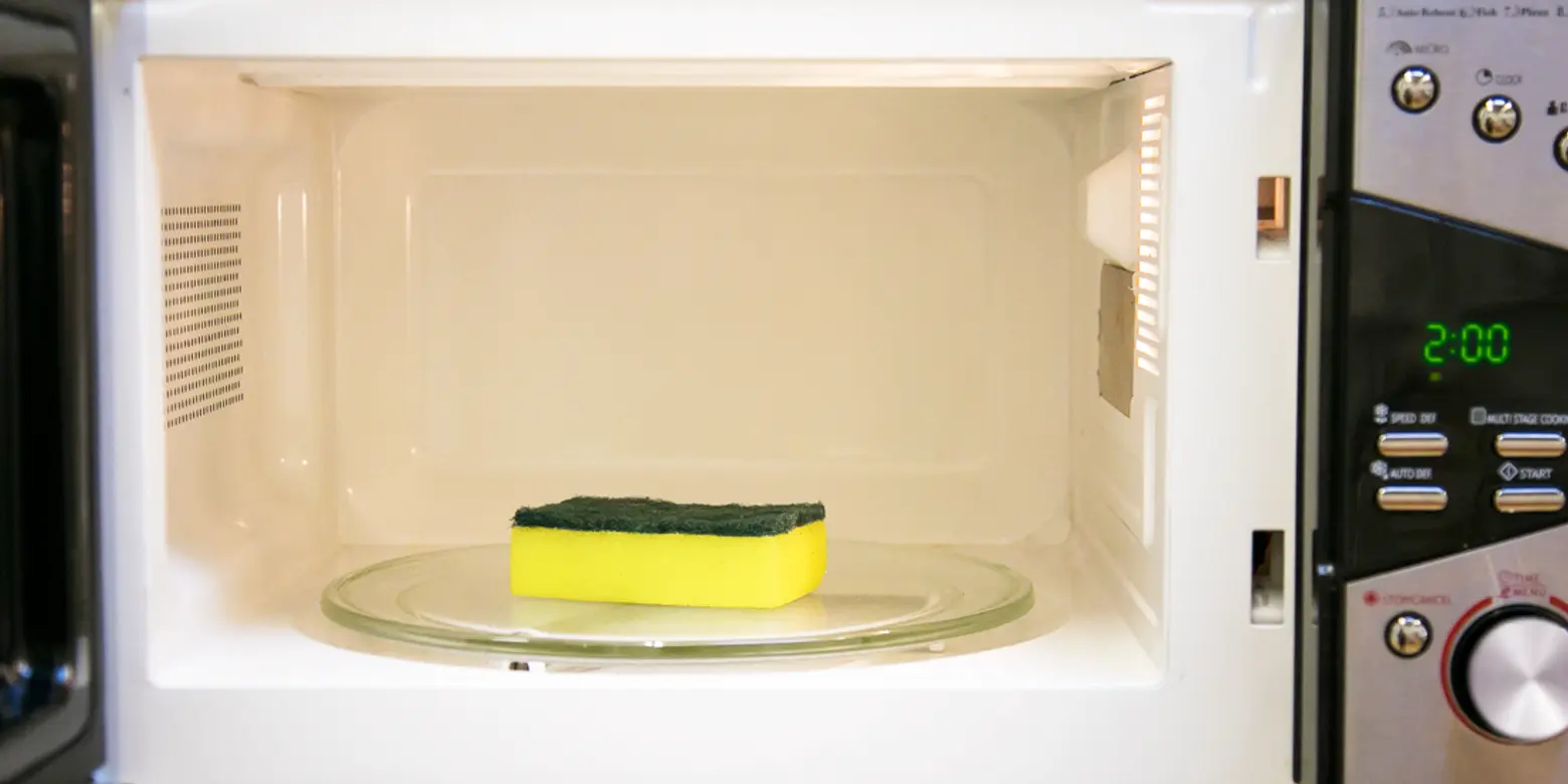Microwave sponge