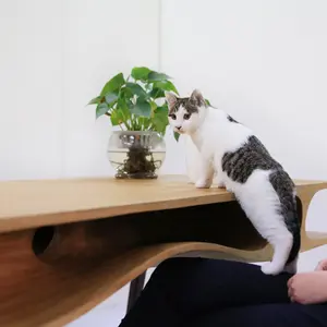 catable, cat furniture furniture for pets, cat desk, LYCS Architecture