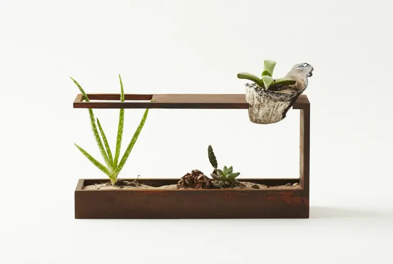 Spruce Up Your Desk with Plant-in City’s Modern MINI Terrarium