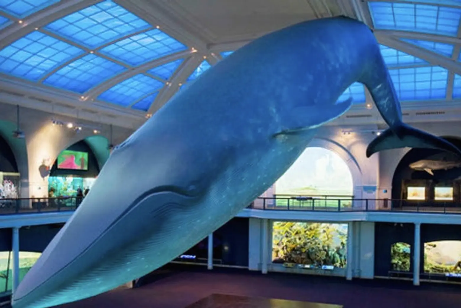 Your Daily Link Fix: No More Crumbs; A Blue Whale Gets a Bath