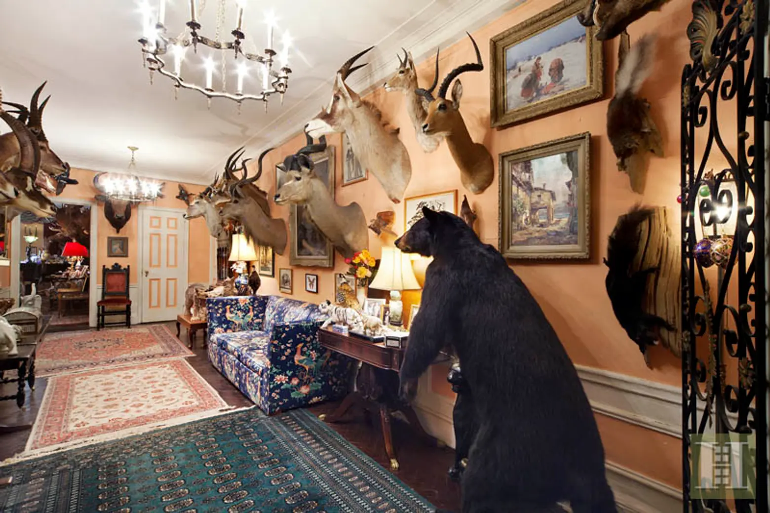 211 Central Park West 3J, taxidermy apartment, apartment interior, with animals