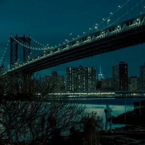 Franck Bohbot, Manhattan Bridge, urban photography, nighttime photography