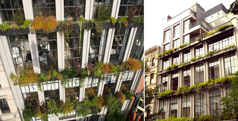 <b>The Flowerbox Building: A Sustainable Gem in a Storied Setting</b>