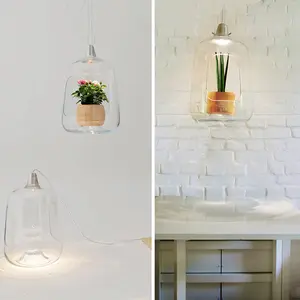 Lightovo, Milo lamp, glass lampshade, Polish design, LED light, small green house, potted flowers,