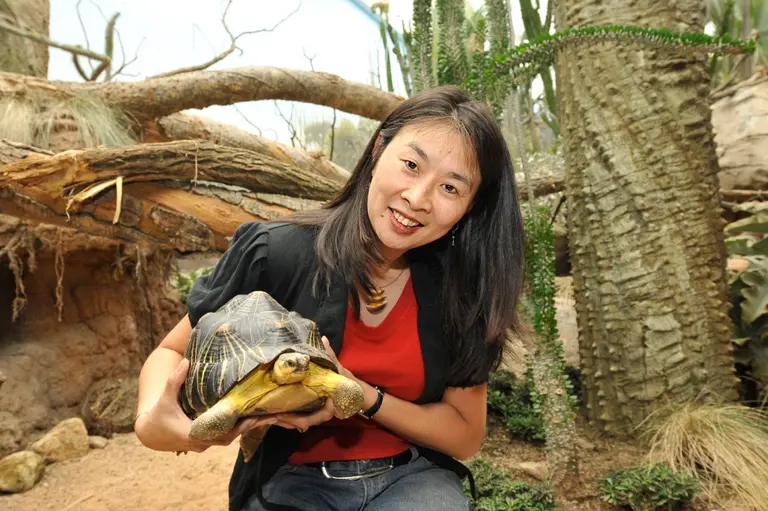 New Yorker Spotlight: Sue Chin on Designing for a Very Different Type of Client at the Wildlife Conservation Society