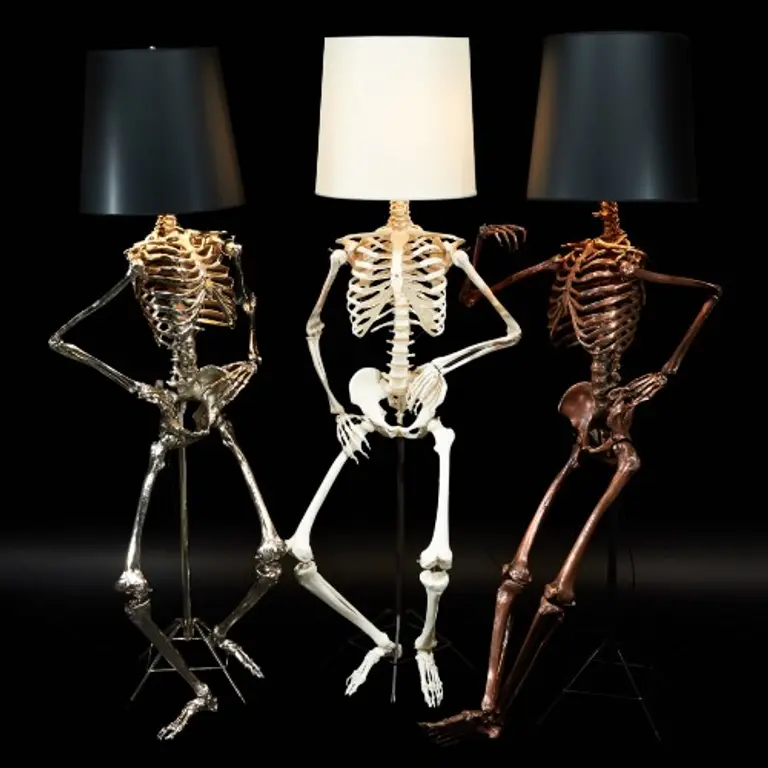 Philippe Is a Skeletal Lamp by Zia Priven Sure to Be the Backbone of Any Room
