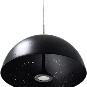 Planetarium pendant light, star light fixture, constellation