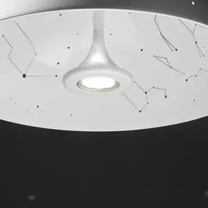 Planetarium pendant light, star light fixture, constellation