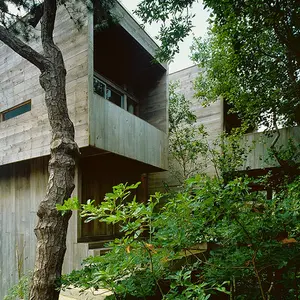 Bates Masi + Architects, Fire Island, Tree House, Cypress wood, fir wood, oak wood, roughly cut wood
