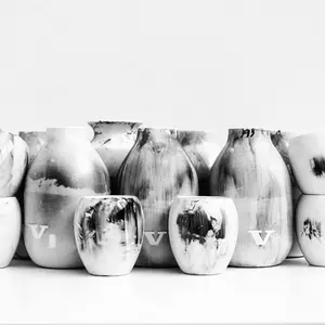 Mianne de Vries, Dutch design, photosensitive vase, Capture Vase, customizable design, light-sensitive paint, Volvo Design Awards winner,