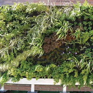 plant wall design, modular live vertical garden, vertical garden, living walls