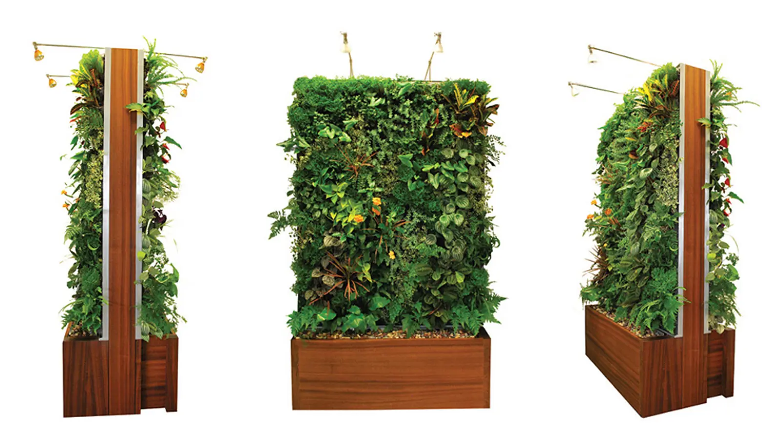 Easily Outfit Your Home in Greenery with Plant Wall Design’s Vertical Garden