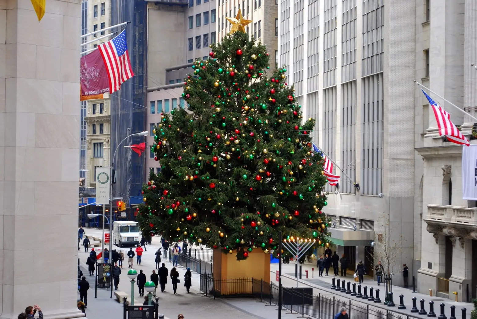 O Christmas Tree: Where to See the Biggest Evergreens Around the City