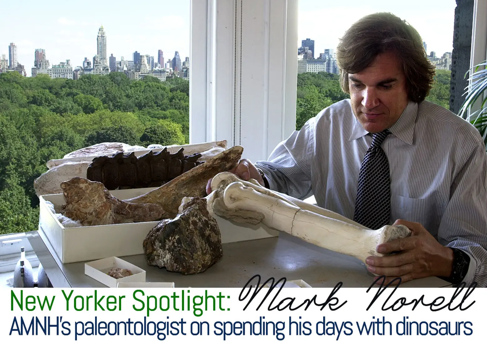 New Yorker Spotlight: Paleontologist Mark Norell Spends His Days with Dinosaurs at the Museum of Natural History