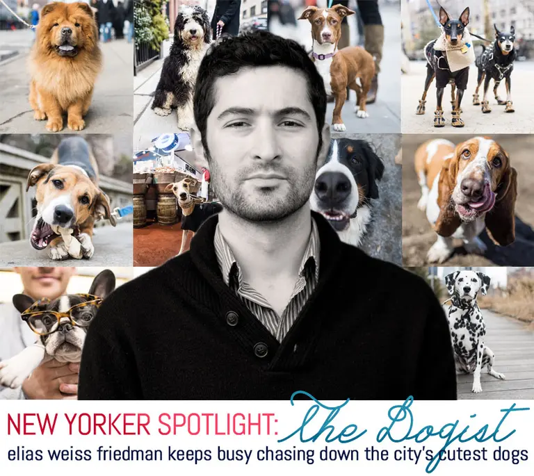 New Yorker Spotlight: Meet the Human Behind The Dogist, Elias Weiss Friedman