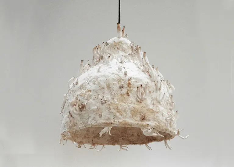 Danish Product Designer Jonas Edvard Uses Fungiculture to Make Lamps from Mushrooms