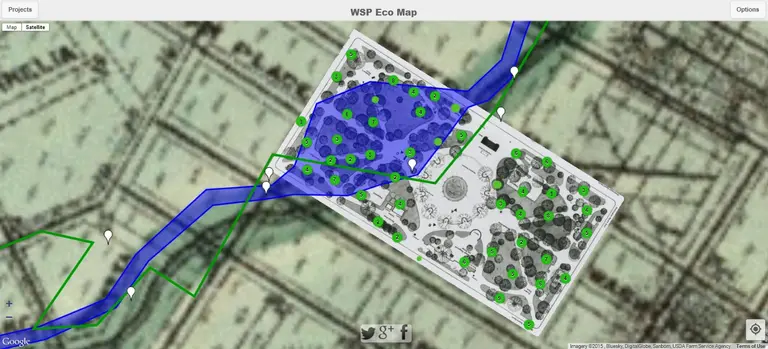 WSP Eco Map Tracks the Hidden Minetta Creek and Trees of Washington Square Park