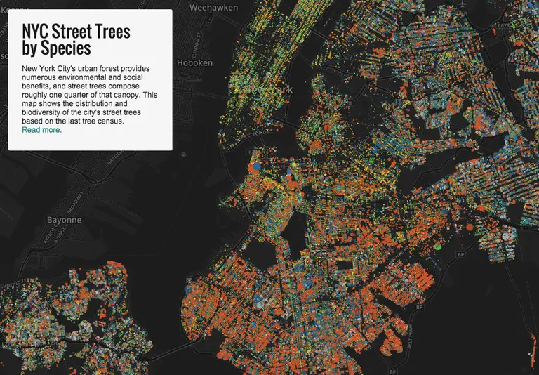This Map Lets You Explore NYC’s 592,130 Street Trees by Species and Trunk Thickness