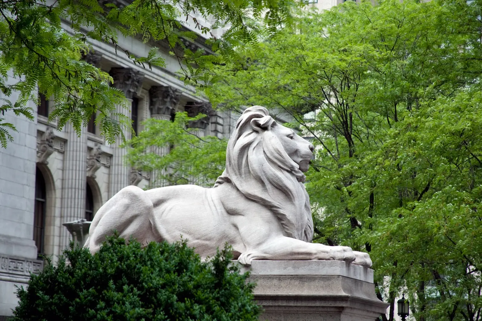 NYPL lion sculpture, Edward Clark Potter, New York Public Library