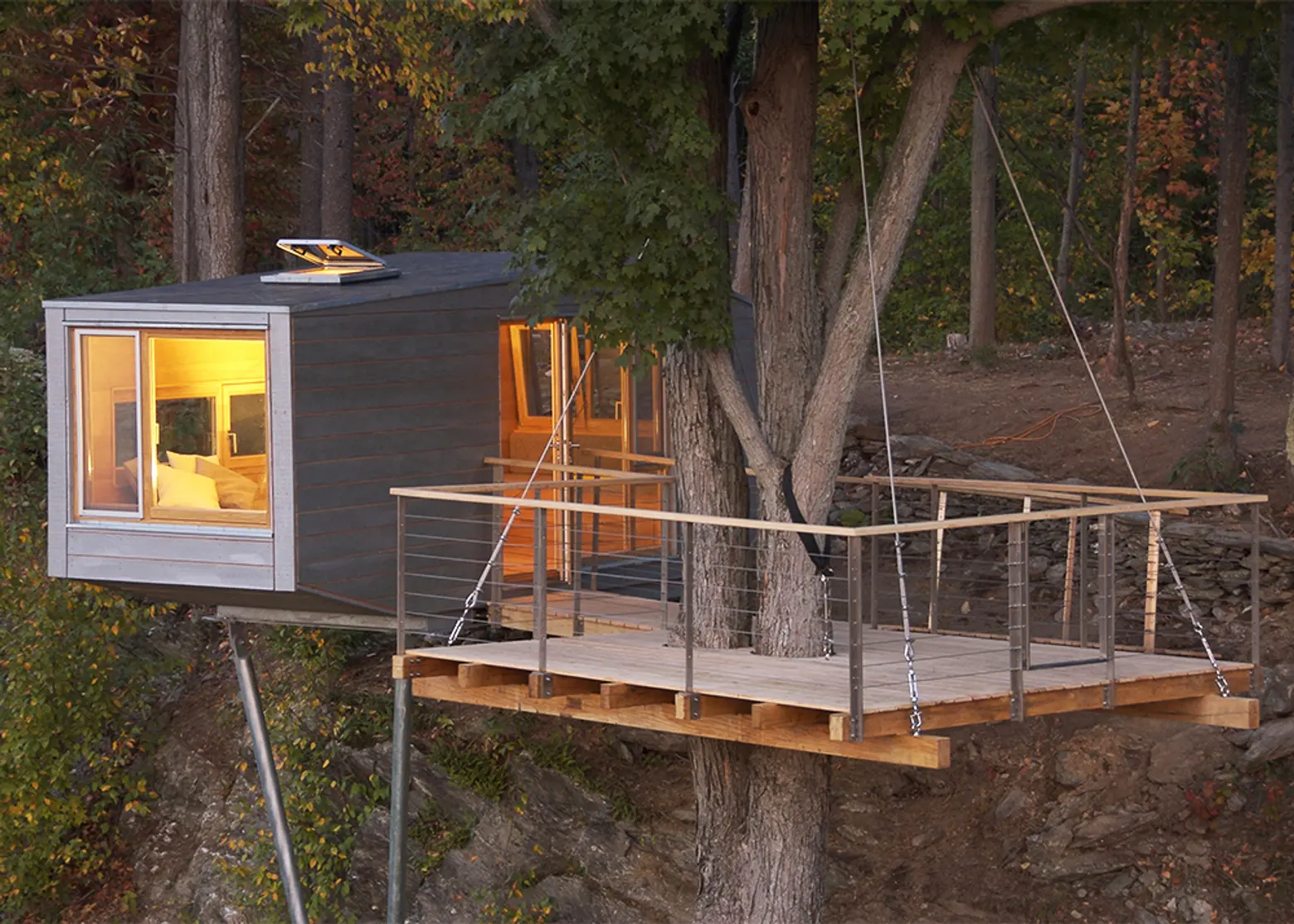 The Cliff House Is an Eco Treehouse Wrapped Around a Maple Tree