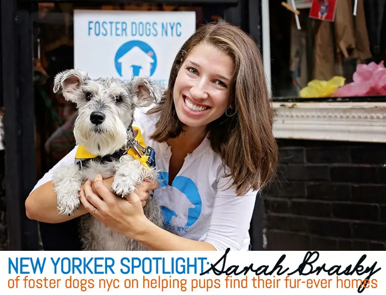 New Yorker Spotlight: Sarah Brasky of Foster Dogs NYC on Helping Pups Find Fur-Ever Homes