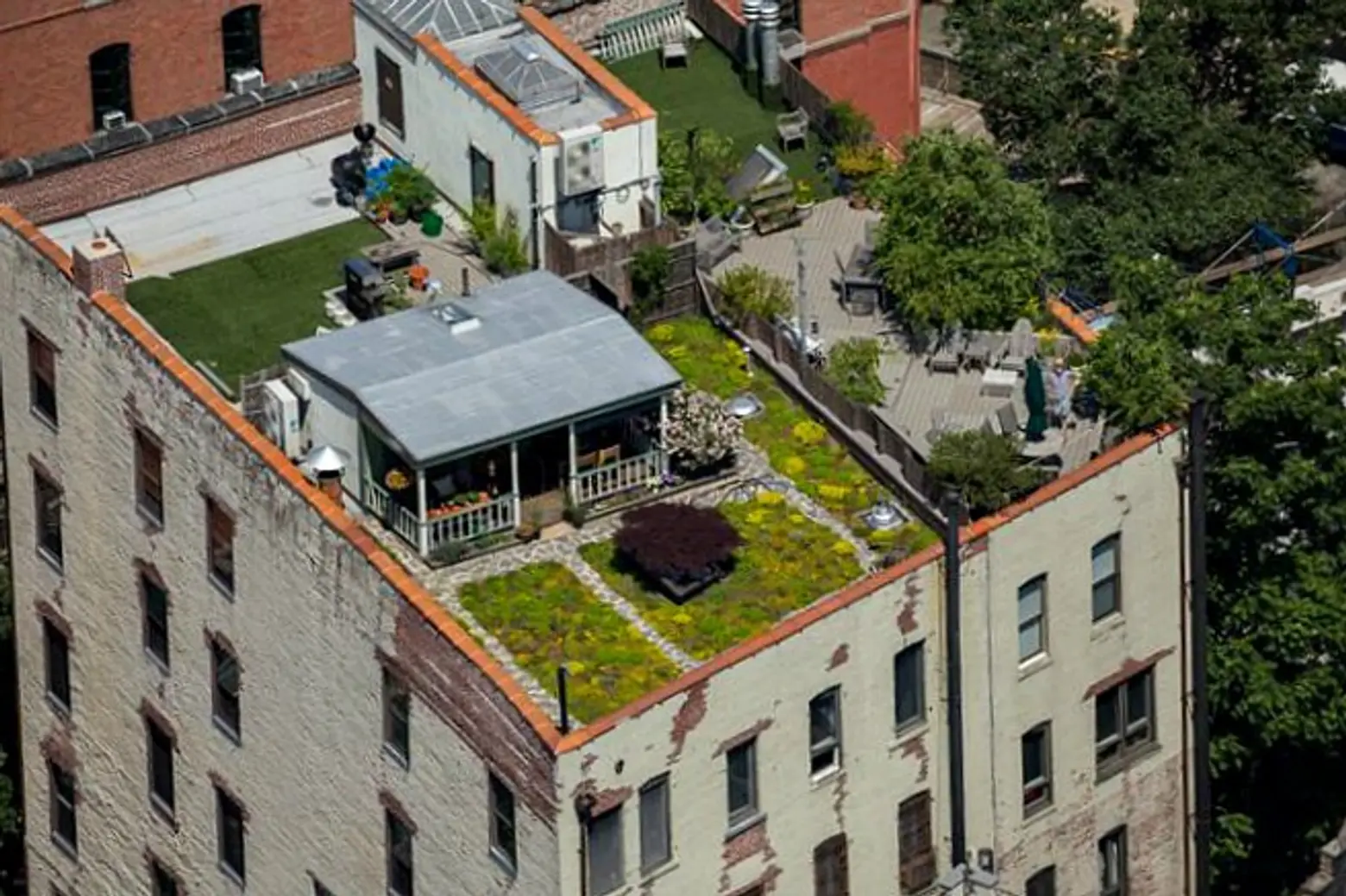 Lucky Family Lives in a Cabin with a Meadow…on the Roof of Their West Village Building