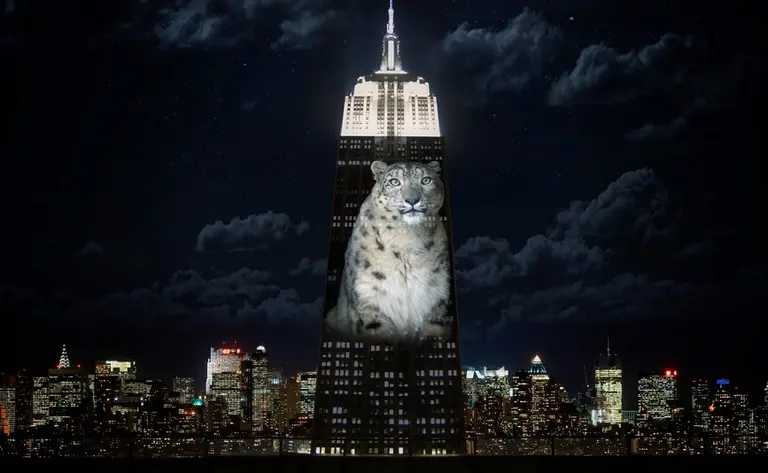 Endangered Species Will Be Projected on the Empire State Building; Mapping the Hottest Subway Stations