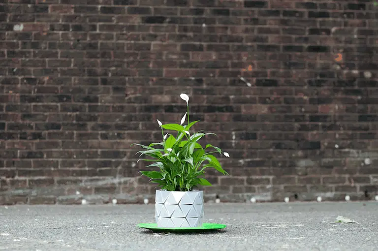 GROWTH Is an Origami-Based Pot That Expands with the Plant