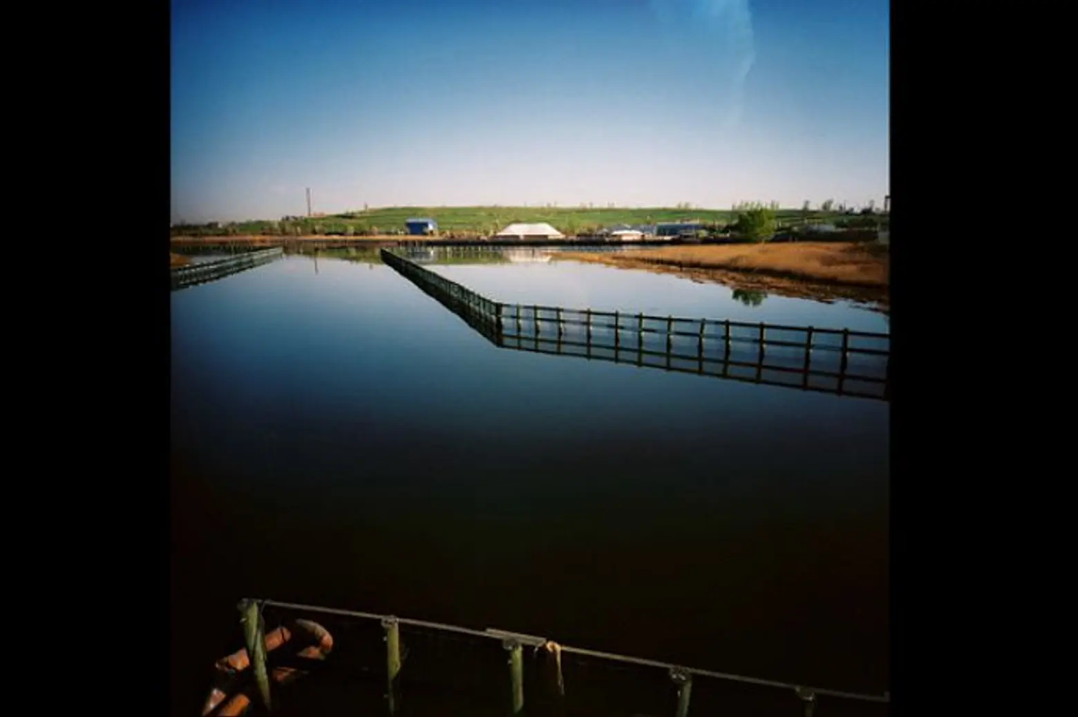 Photographs Document Transformation of Freshkills; Pool Floatie Explodes Like a Jack-in-the-Box