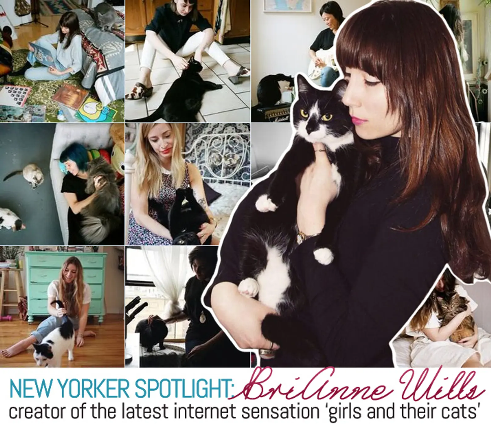 New Yorker Spotlight: BriAnne Wills, Creator of the Latest Internet Sensation ‘Girls and Their Cats’