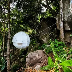 Cocoon Tree, suspended pod, treehouse,