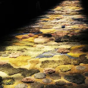 Alexandra Kehayoglou, grassy carpets, Argentina's Pampas, innovative rugs, Dries Van Noten, barefoot living
