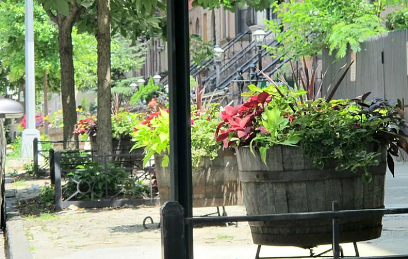 Brooklyn’s Greenest Blocks Are in Bed-Stuy and Fort Greene; LES Getting Second Cat Cafe