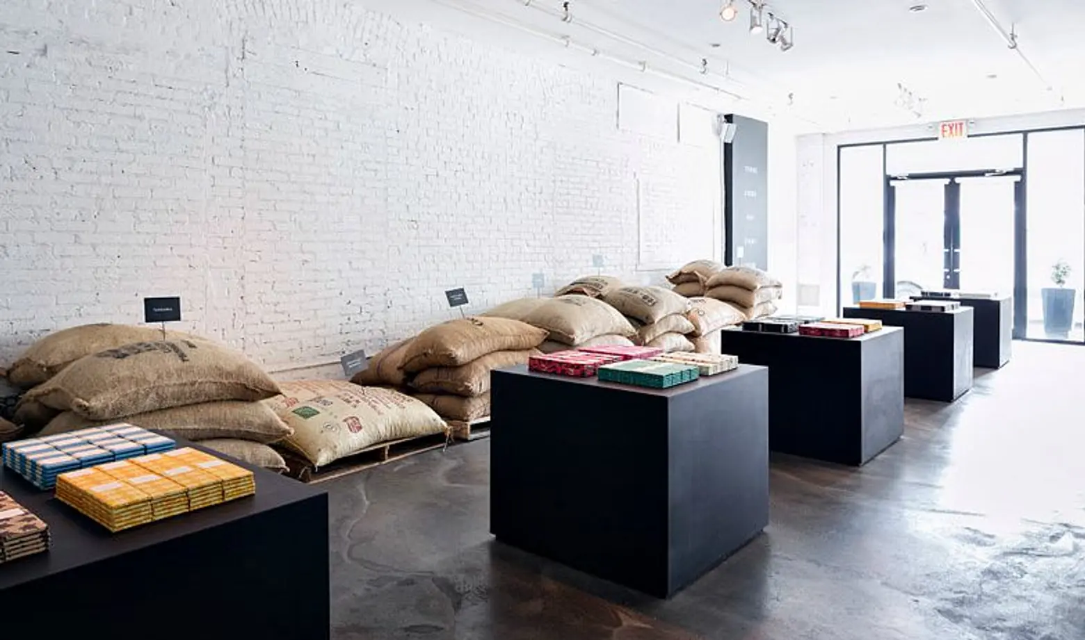 Inside Mast Brothers’ Williamsburg Chocolate Shop Revamp; Brooklyn Jumps on the Cat Cafe Train