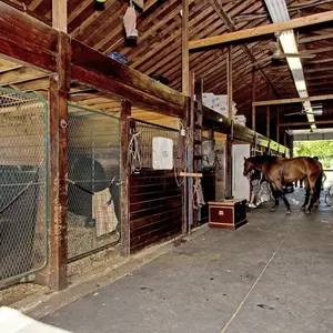 Mill Hill Farm, Wolf of Wall Street house, Long Island equestrian estate, Laffey Fine Homes