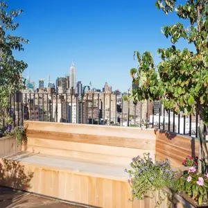 302 West 12th Street, deck, roof