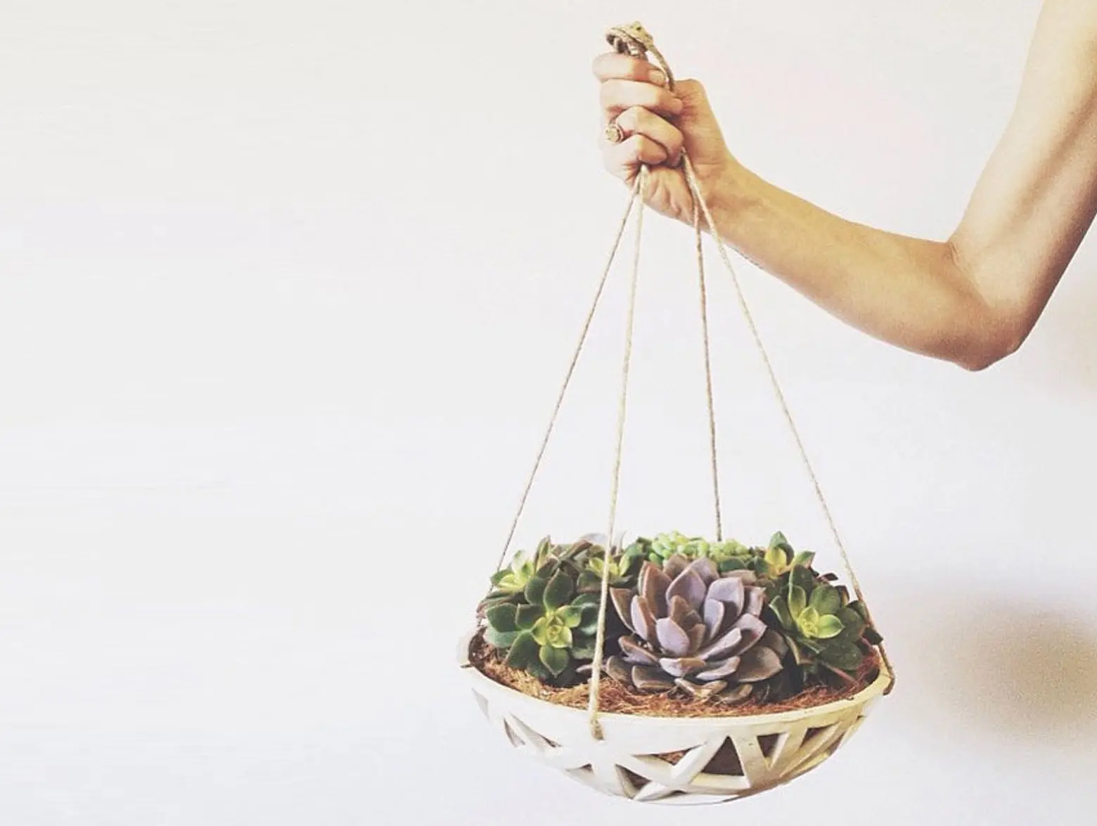 Convivial Production’s Structured Hanging Planters Are Perfect for Crawling Greens and Succulents