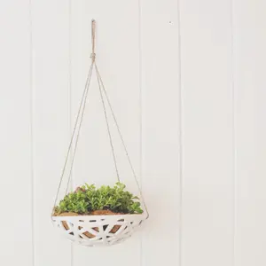 hanging planter, Chantell Stiritz, Convivial Production, home decor