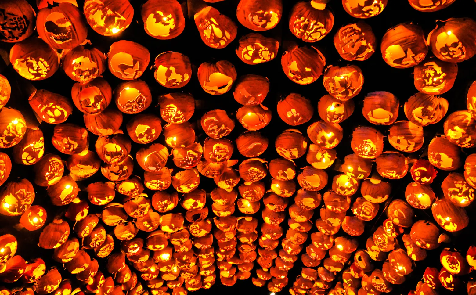 The Man Behind the Great Jack-o’-Lantern Blaze; Tour Gracie Mansion’s New Art Collection