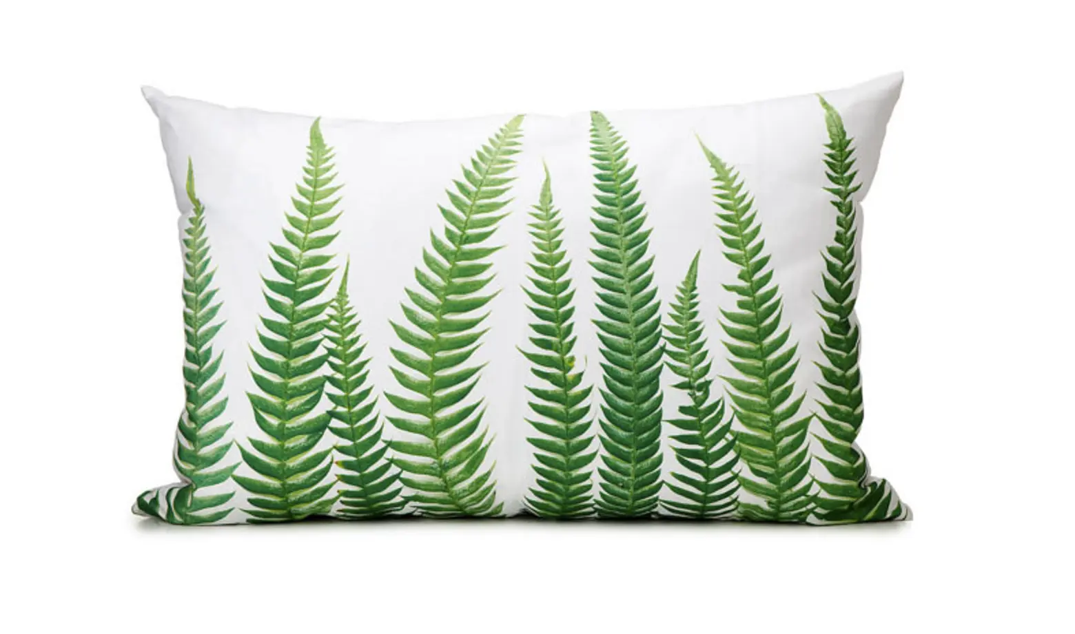 Photographer Barry Rosenthal Designs Home Accessories Inspired by Nature